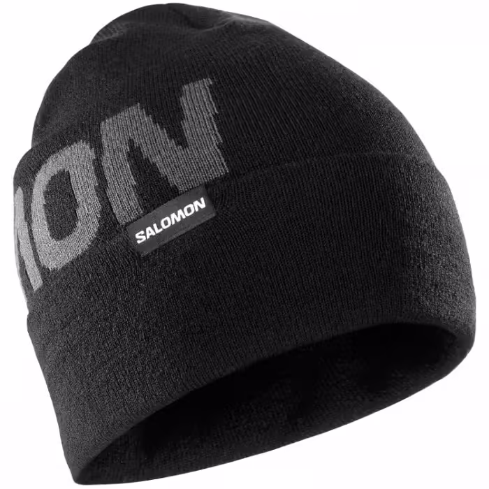 Шапка Salomon HERMITAGE BEANIE