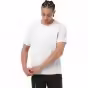 Alb