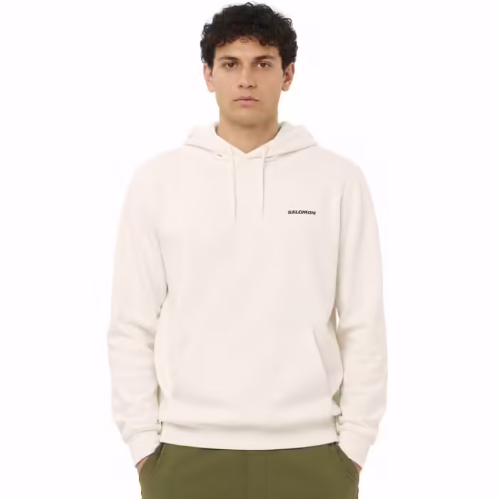 Толстовка Salomon LOGO HOODIE Бежевый L