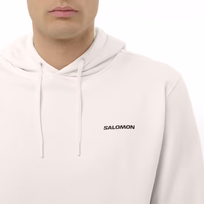 Толстовка Salomon LOGO HOODIE Бежевый L - 4