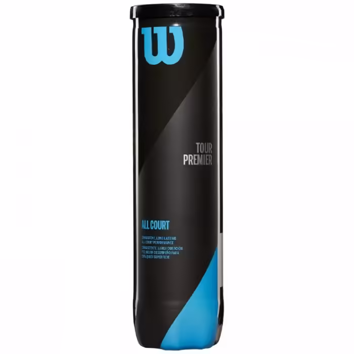 Набор мячей для тенниса 4 шт Wilson Tour Premier ALL CT 4