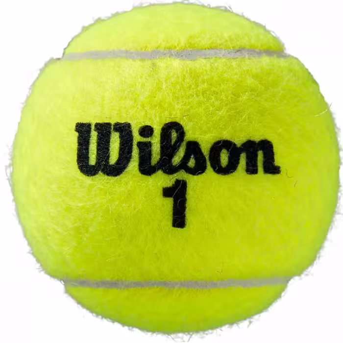 Набор мячей для тенниса 3 шт Wilson Roland Garros All Court - 2