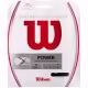 Струны теннисные Wilson SYNTHETIC GUT POWER 16