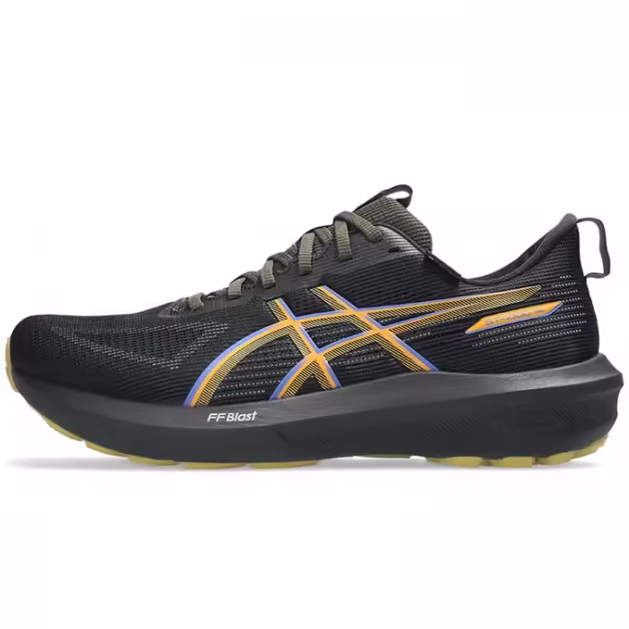 Incaltaminte Sport Asics GT-1000 14 GTX