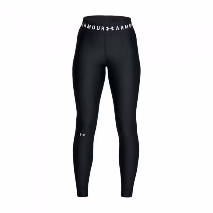 Легинсы Under Armour UA HG Armr Brand WB Legging