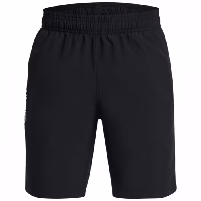 Шорты Under Armour UA Tech Woven Wordmark Short