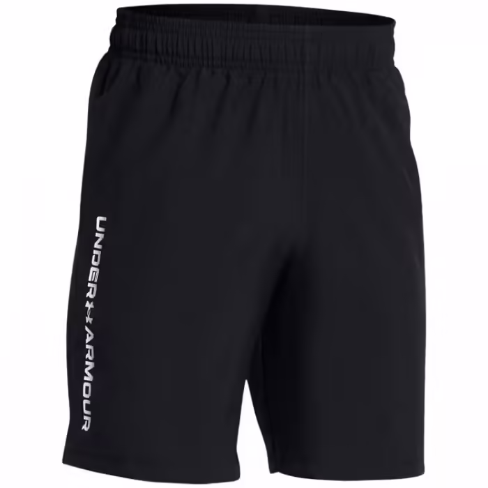 Шорты Under Armour UA Tech Woven Wordmark Short - 3