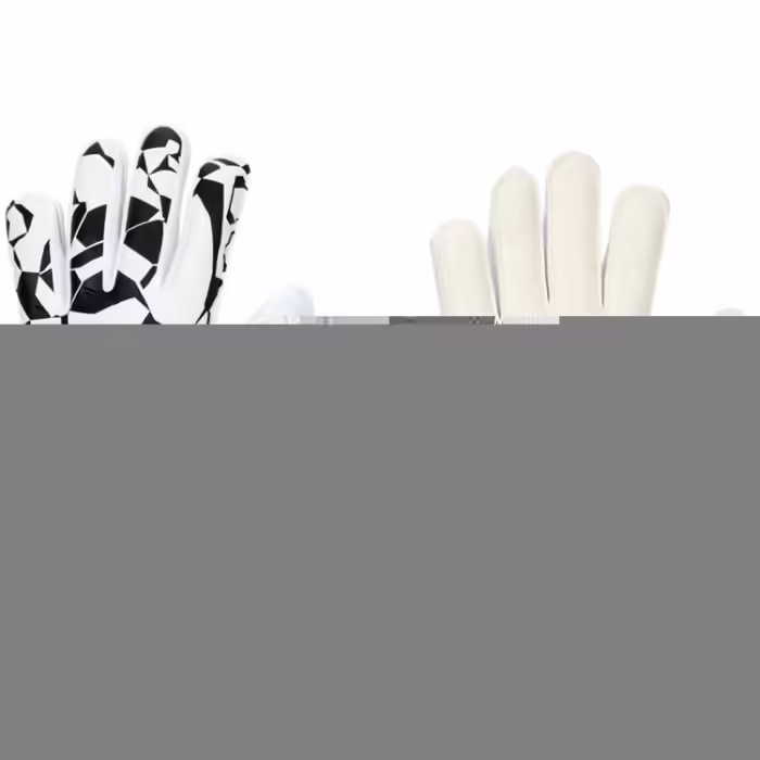 Сапоги Puma Snowbae Wns Patent