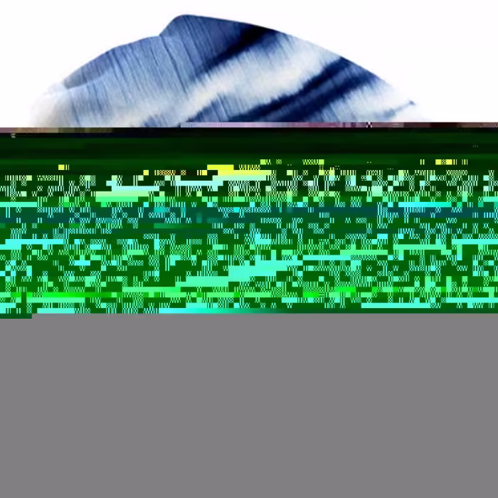 Slapi Havaianas HAV.TOP