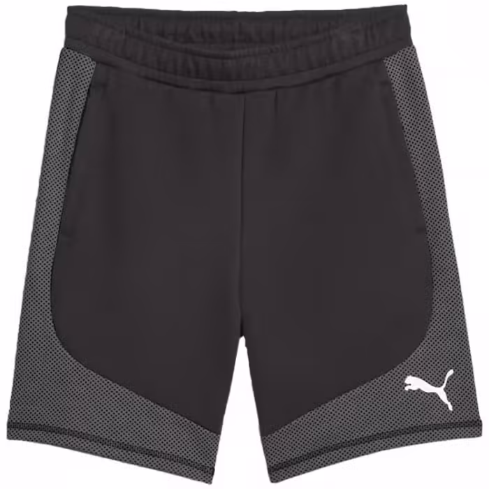 Sorti Puma EVOSTRIPE Shorts