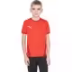 Tricou Puma teamGOAL 23 Jersey jr