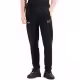 Брюки EA7 EMPORIO ARMANI VIGOR7 M PANTS CH PL ST