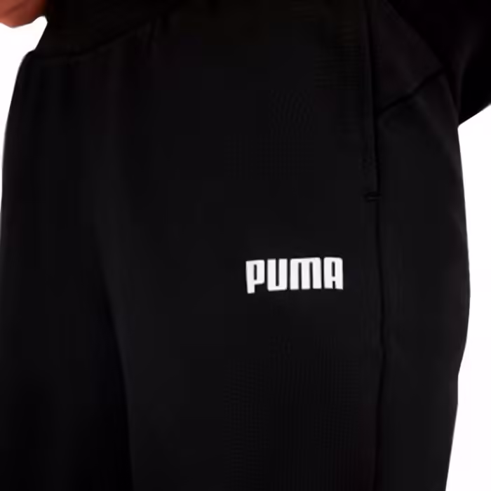 Брюки Puma ESS Sweat Pants Closed FL W - 2
