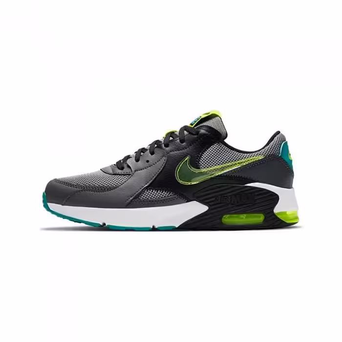 Incaltaminte Sport Nike REVOLUTION 5 PSV