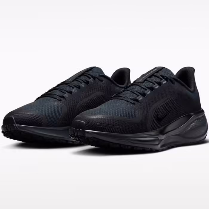 Кроссовки Nike W AIR ZM PEGASUS 41 GTX Черный 40.5 - 7