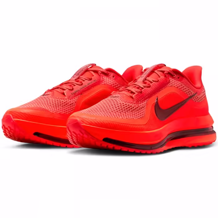 Кроссовки Nike PEGASUS PREMIUM - 6