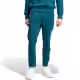 Брюки Adidas M FI BOS PT