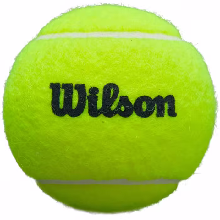 Набор мячей для тенниса 3 шт Wilson PREMIER PADEL SPEED 3 BALL CAN - 2