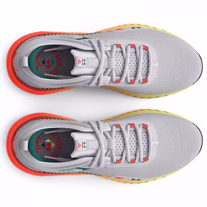 Incaltaminte Sport Under Armour UA W Project Rock 5 - 2