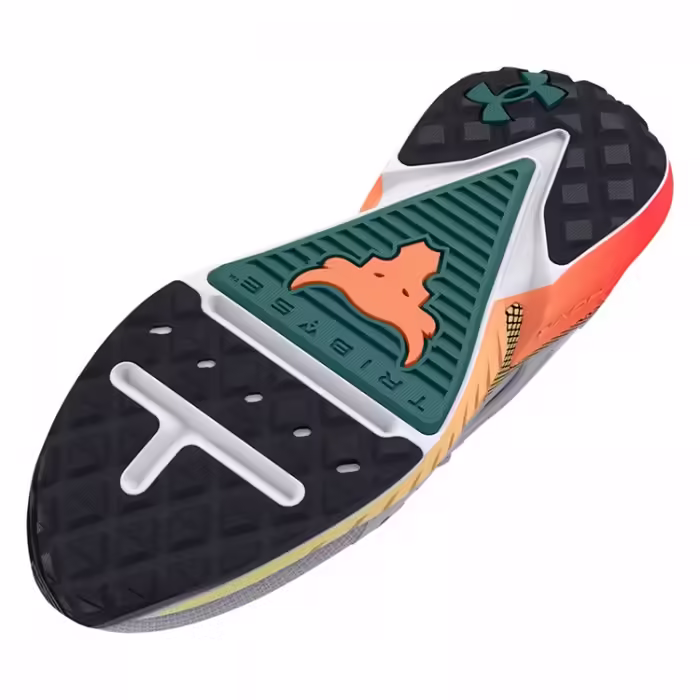 Incaltaminte Sport Under Armour UA W Project Rock 5 - 3