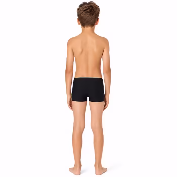 Плавки-шорты Speedo DIVE AQUASHORT - 2
