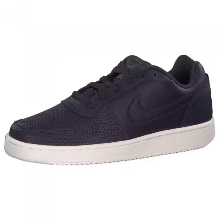 Incaltaminte Sport Nike EBERNON LOW PREM