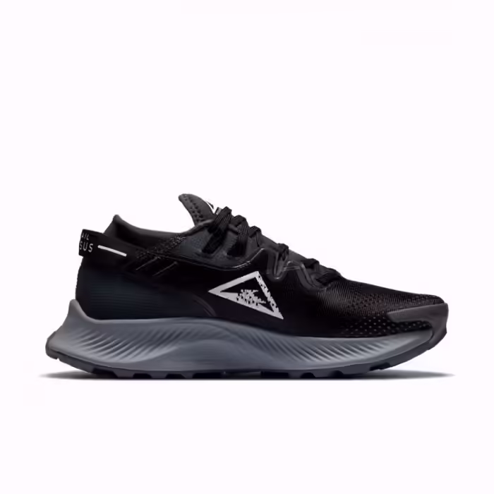 Кроссовки Nike W PEGASUS TRAIL 2 - 5