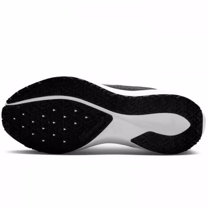 Incaltaminte Sport Nike W AIR ZM PEGASUS 41 GTX - 2