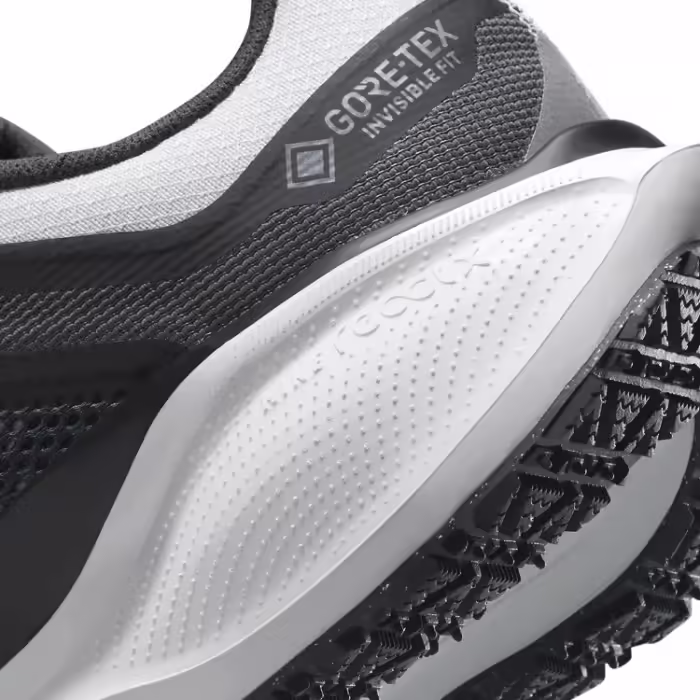 Incaltaminte Sport Nike W AIR ZM PEGASUS 41 GTX - 5