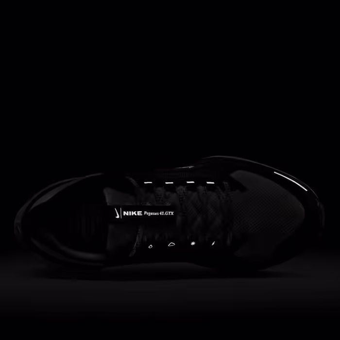 Кроссовки Nike W AIR ZM PEGASUS 41 GTX - 9