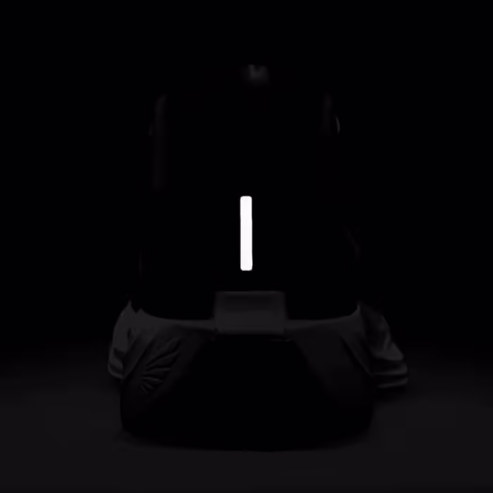 Кроссовки Nike PEGASUS PLUS - 2