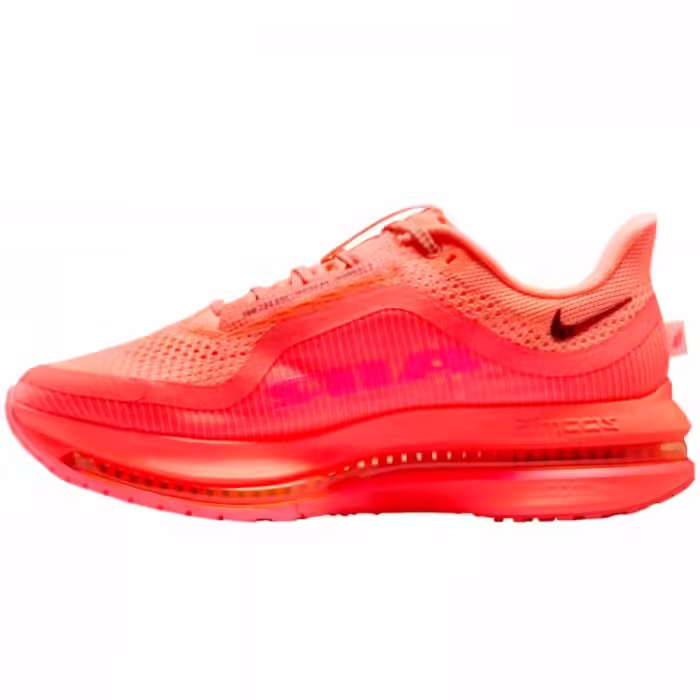 Кроссовки Nike PEGASUS PREMIUM - 3