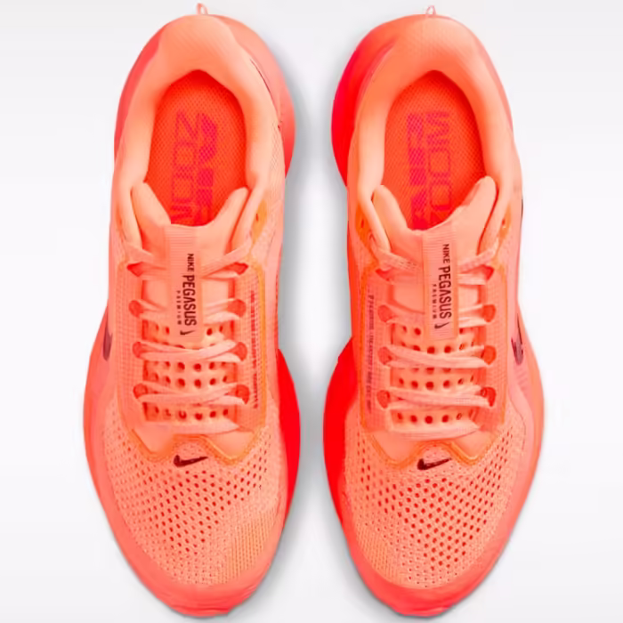 Кроссовки Nike PEGASUS PREMIUM - 6