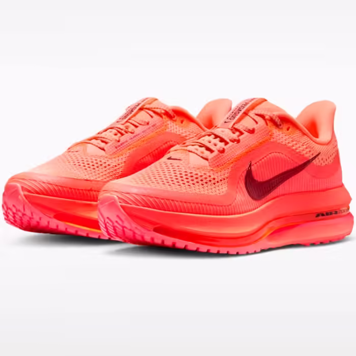 Кроссовки Nike PEGASUS PREMIUM - 7