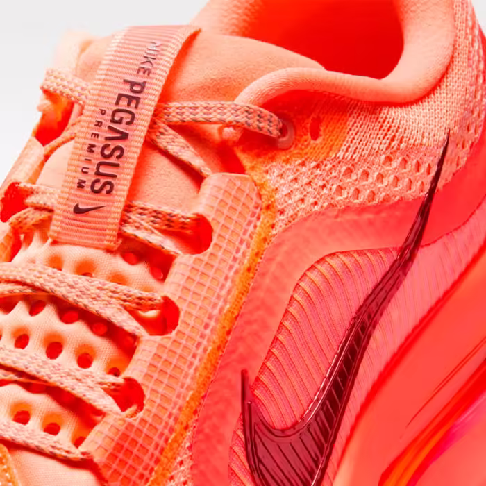 Кроссовки Nike PEGASUS PREMIUM - 9