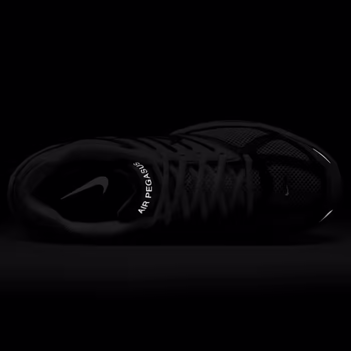 Incaltaminte Sport Nike AIR PEGASUS 2005 - 6