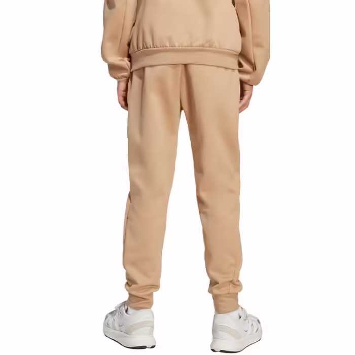 Брюки Adidas J Z.N.E. PT - 3