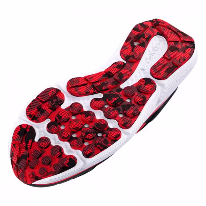 Incaltaminte Sport Under Armour UA BGS ASSERT 10 - 4