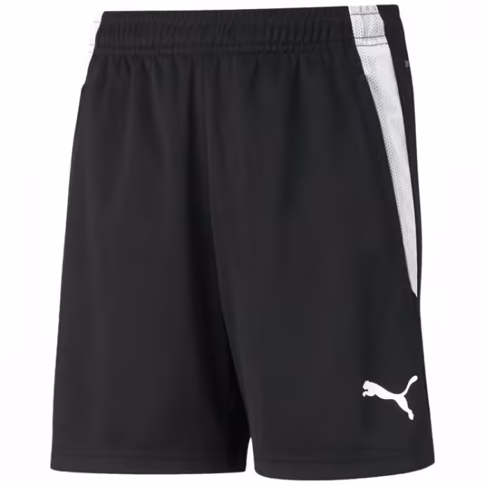 Шорты Puma teamLIGA Training Shorts Jr