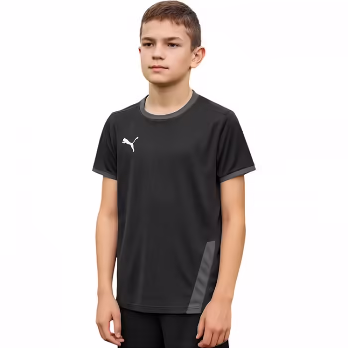 Футболка Puma teamGOAL 23 Jersey jr