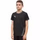 Футболка Puma teamGOAL 23 Jersey jr