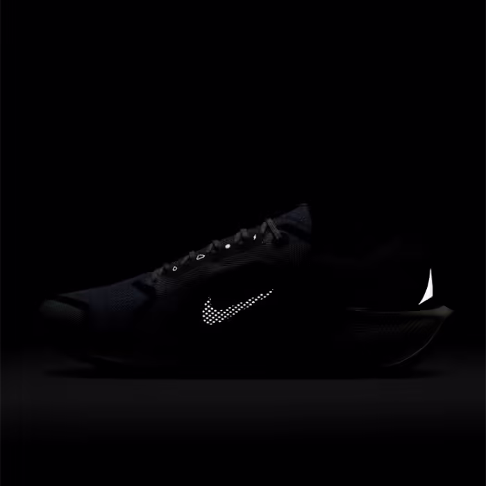 Кроссовки Nike AIR ZM PEGASUS 41 GTX - 7