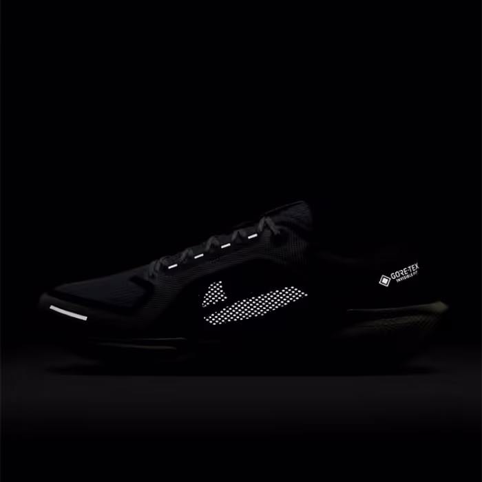 Кроссовки Nike AIR ZM PEGASUS 41 GTX - 8