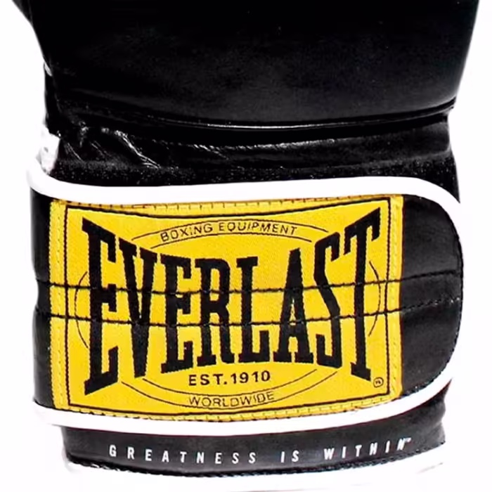 Manusi pentru box Everlast 1910 CLASSIC - 2