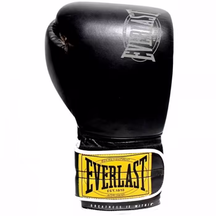 Manusi pentru box Everlast 1910 CLASSIC - 4