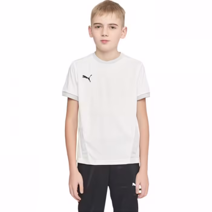 Футболка Puma teamGOAL 23 Jersey jr