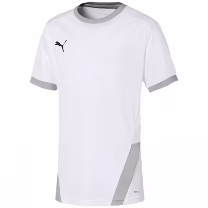 Футболка Puma teamGOAL 23 Jersey jr - 2