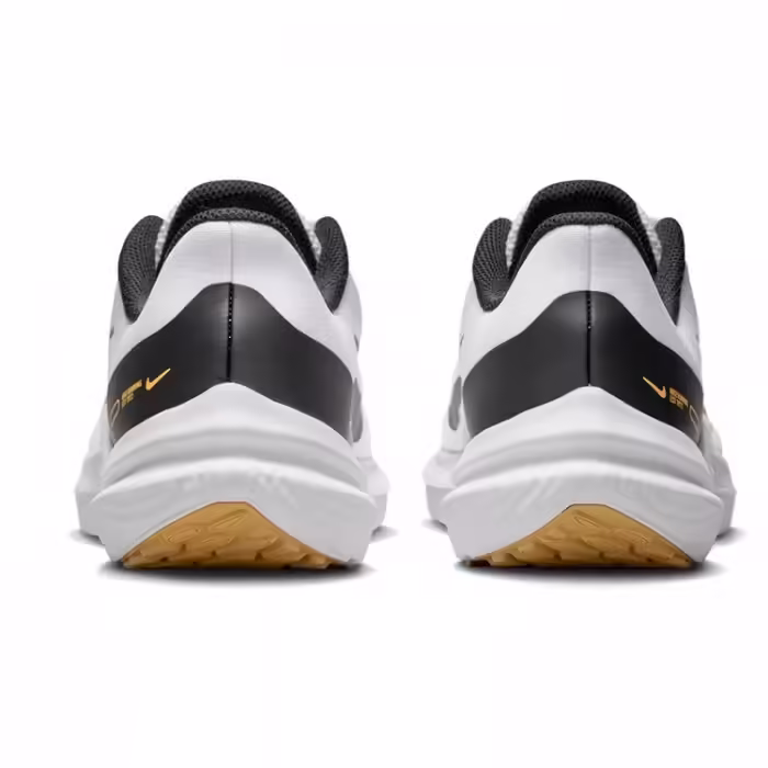 Incaltaminte Sport Nike WMNS NIKE AIR WINFLO 9 - 2