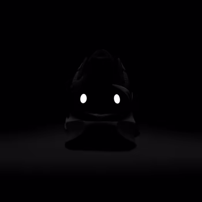 Incaltaminte Sport Nike VOMERO 17 - 5