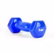 Gantera 1 kg SILAPRO Dumbbell